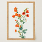 Red Poppy Flower Vintage Botanical Wall Art Print-Skudaboo