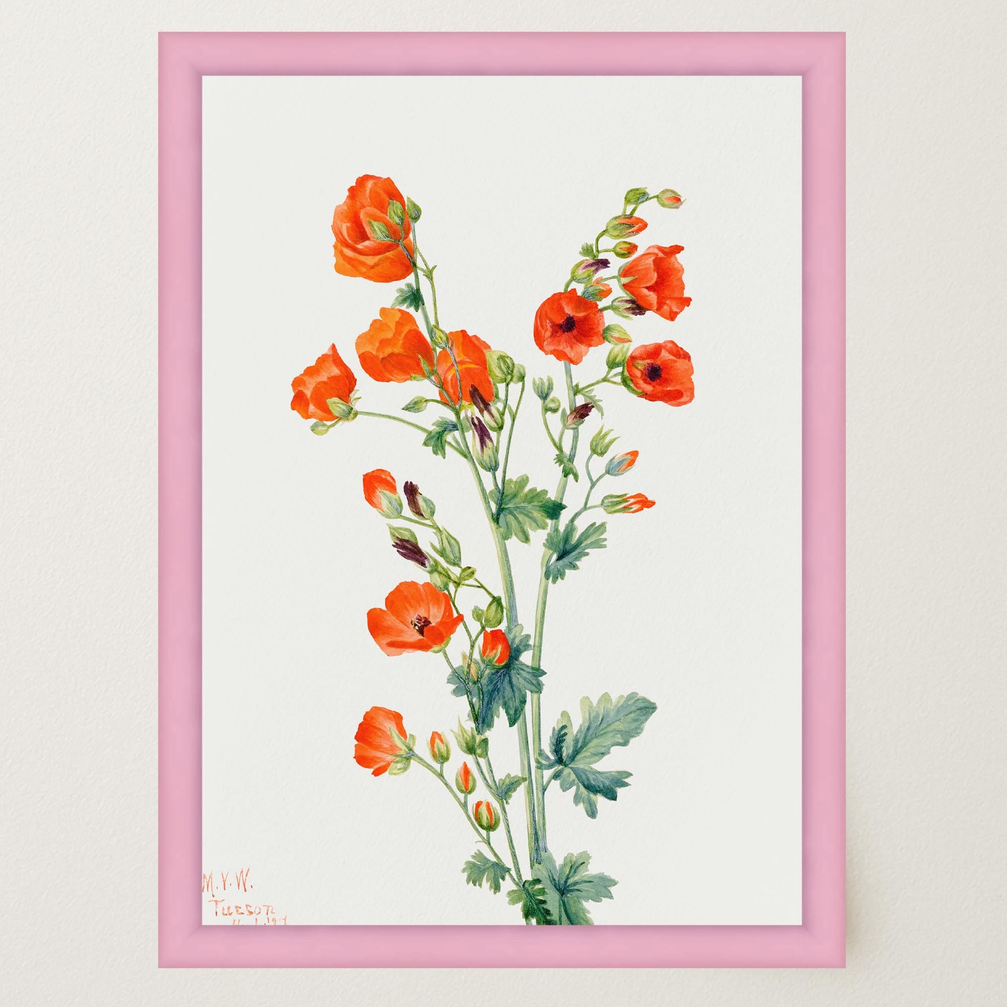 Red Poppy Flower Vintage Botanical Wall Art Print-Skudaboo