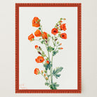 Red Poppy Flower Vintage Botanical Wall Art Print-Skudaboo