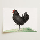 Black Chicken Vintage Bird Illustration Wall Art Print-Skudaboo