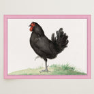Black Chicken Vintage Bird Illustration Wall Art Print-Skudaboo