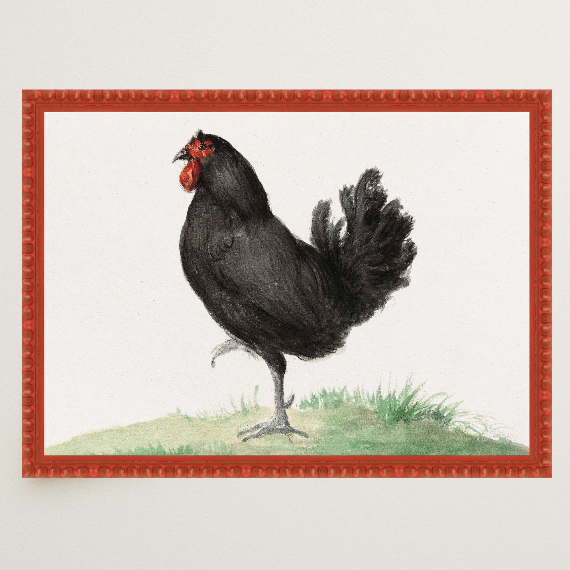 Black Chicken Vintage Bird Illustration Wall Art Print-Skudaboo