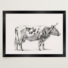 Cow Vintage Sketch Wall Art Print-Skudaboo