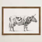 Cow Vintage Sketch Wall Art Print-Skudaboo