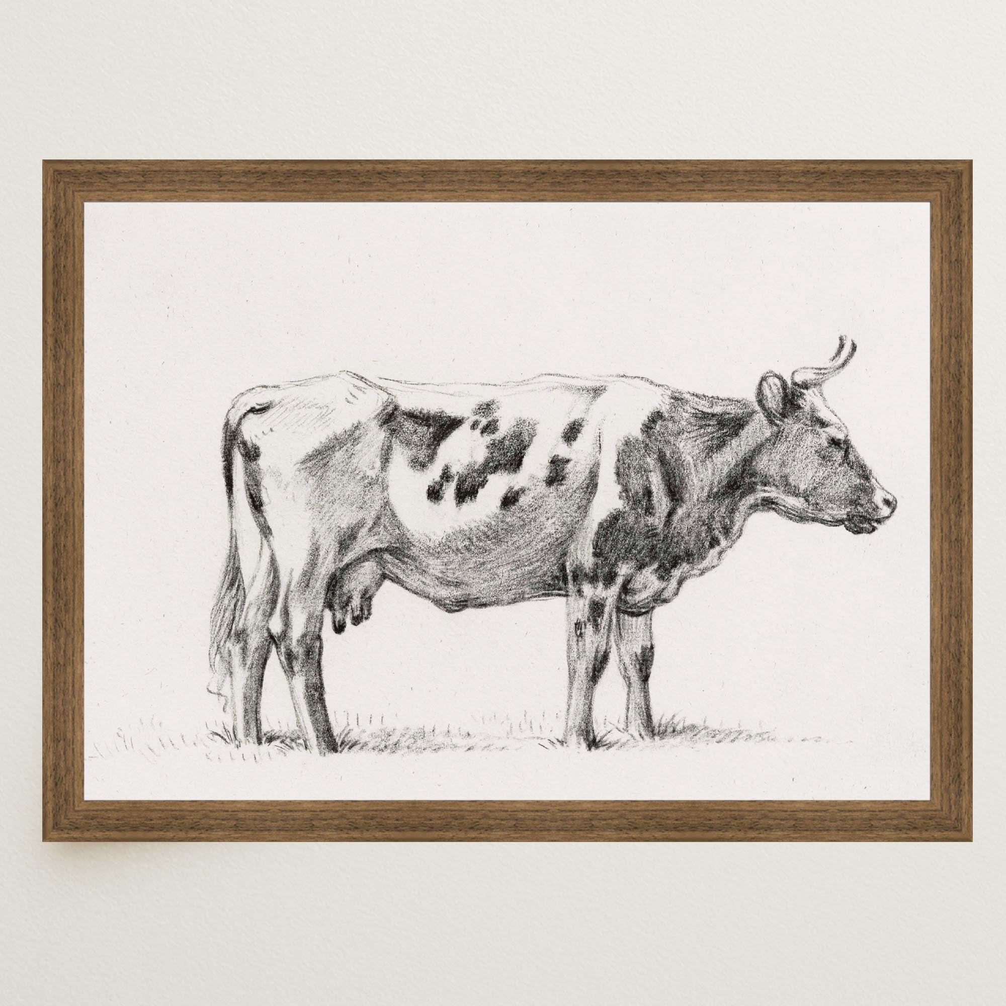 Cow Vintage Sketch Wall Art Print-Skudaboo