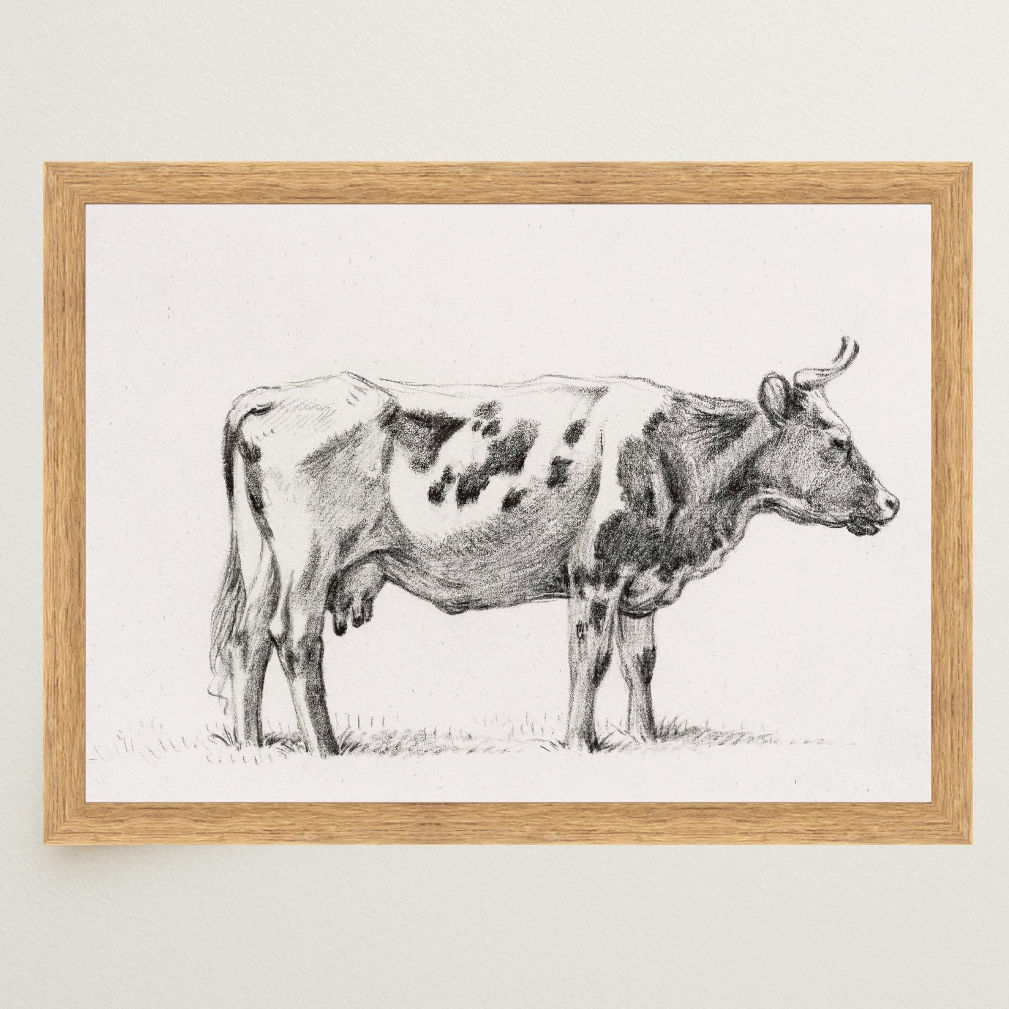 Cow Vintage Sketch Wall Art Print-Skudaboo