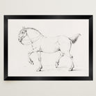 Horse Vintage Sketch Wall Art Print-Skudaboo