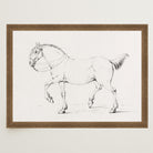 Horse Vintage Sketch Wall Art Print-Skudaboo