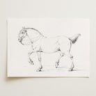 Horse Vintage Sketch Wall Art Print-Skudaboo
