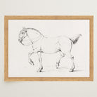 Horse Vintage Sketch Wall Art Print-Skudaboo
