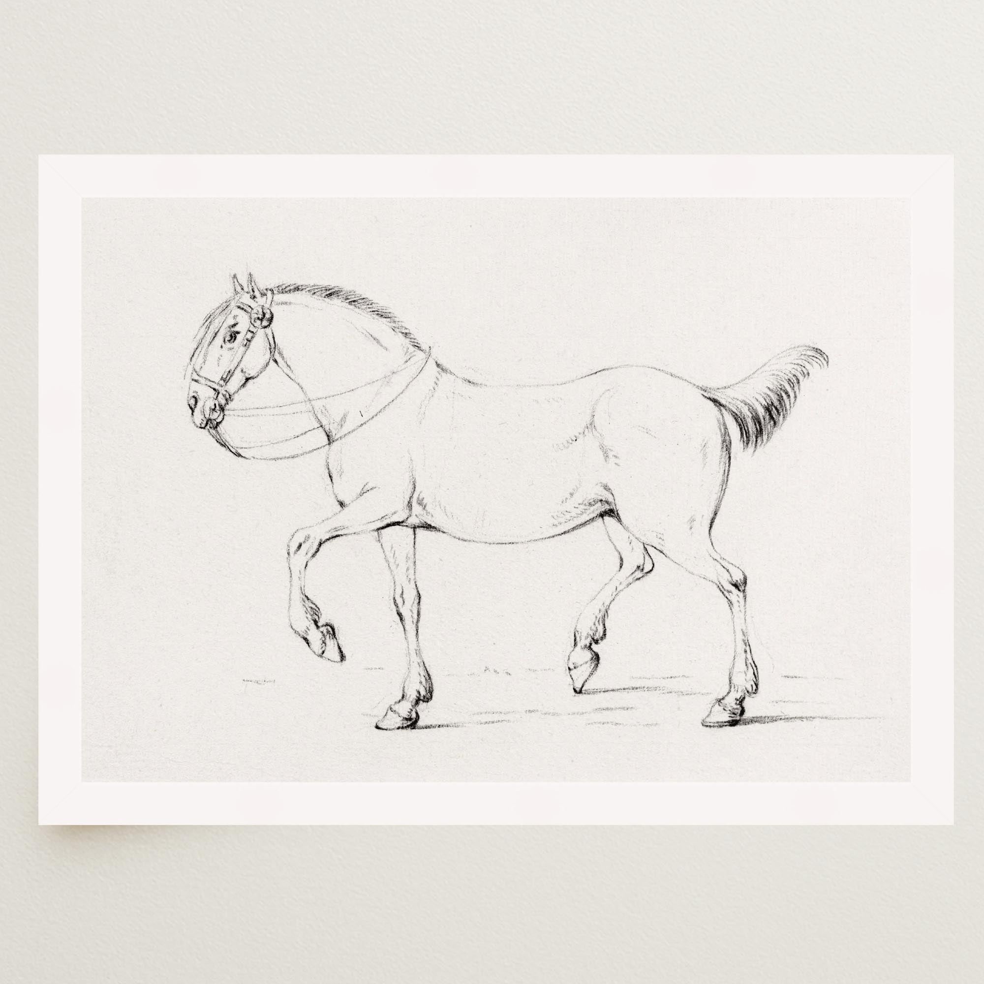 Horse Vintage Sketch Wall Art Print-Skudaboo