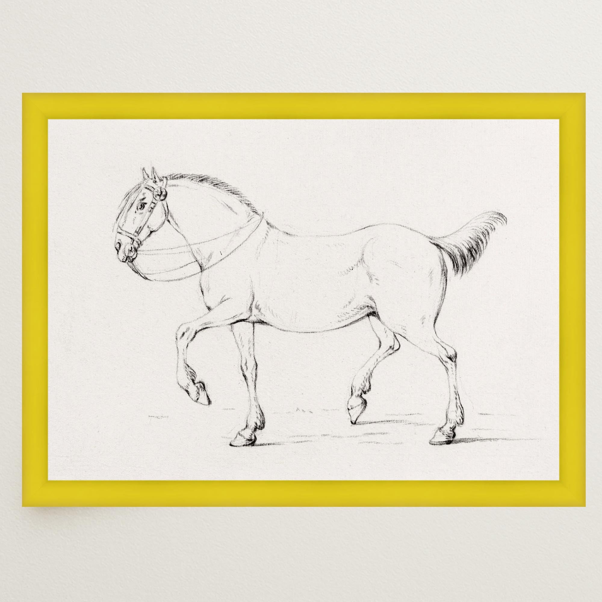 Horse Vintage Sketch Wall Art Print-Skudaboo