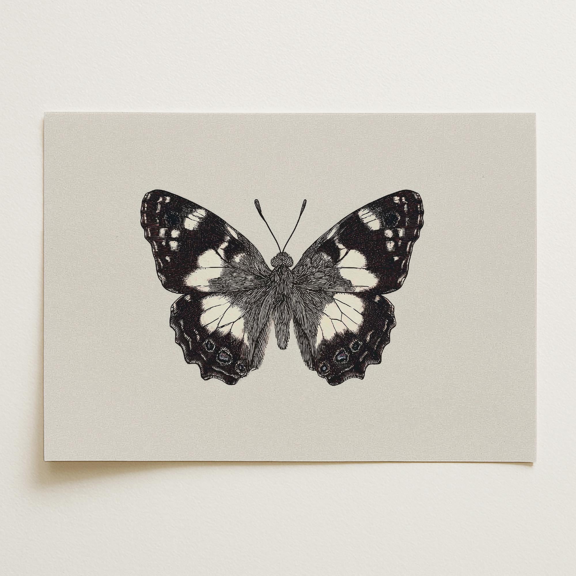 Vintage Style Black and White Butterfly Wall Art Print-Skudaboo
