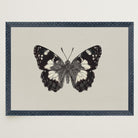 Vintage Style Black and White Butterfly Wall Art Print-Skudaboo