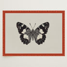 Vintage Style Black and White Butterfly Wall Art Print-Skudaboo