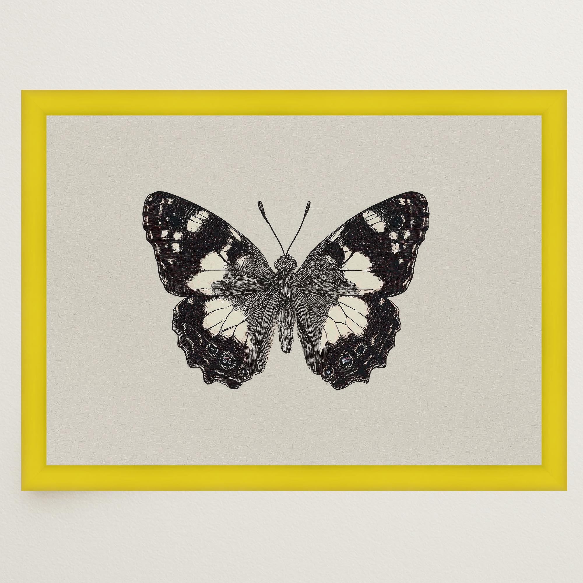Vintage Style Black and White Butterfly Wall Art Print-Skudaboo