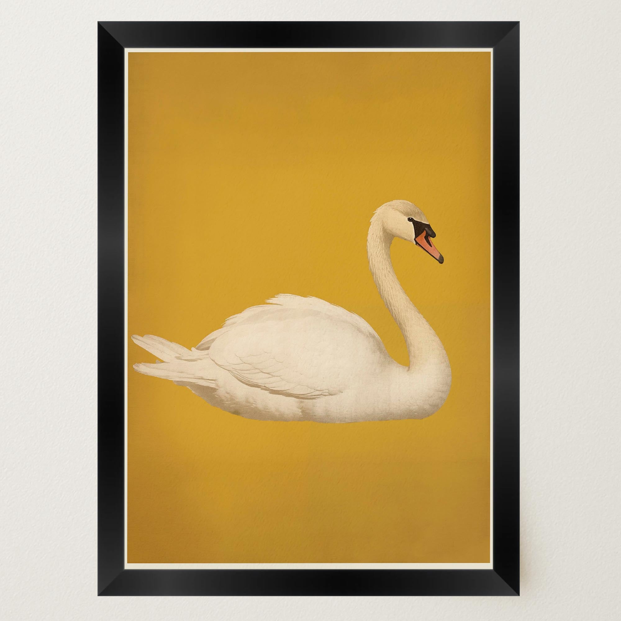 Vintage Style White Swan Wall Art Print-Skudaboo