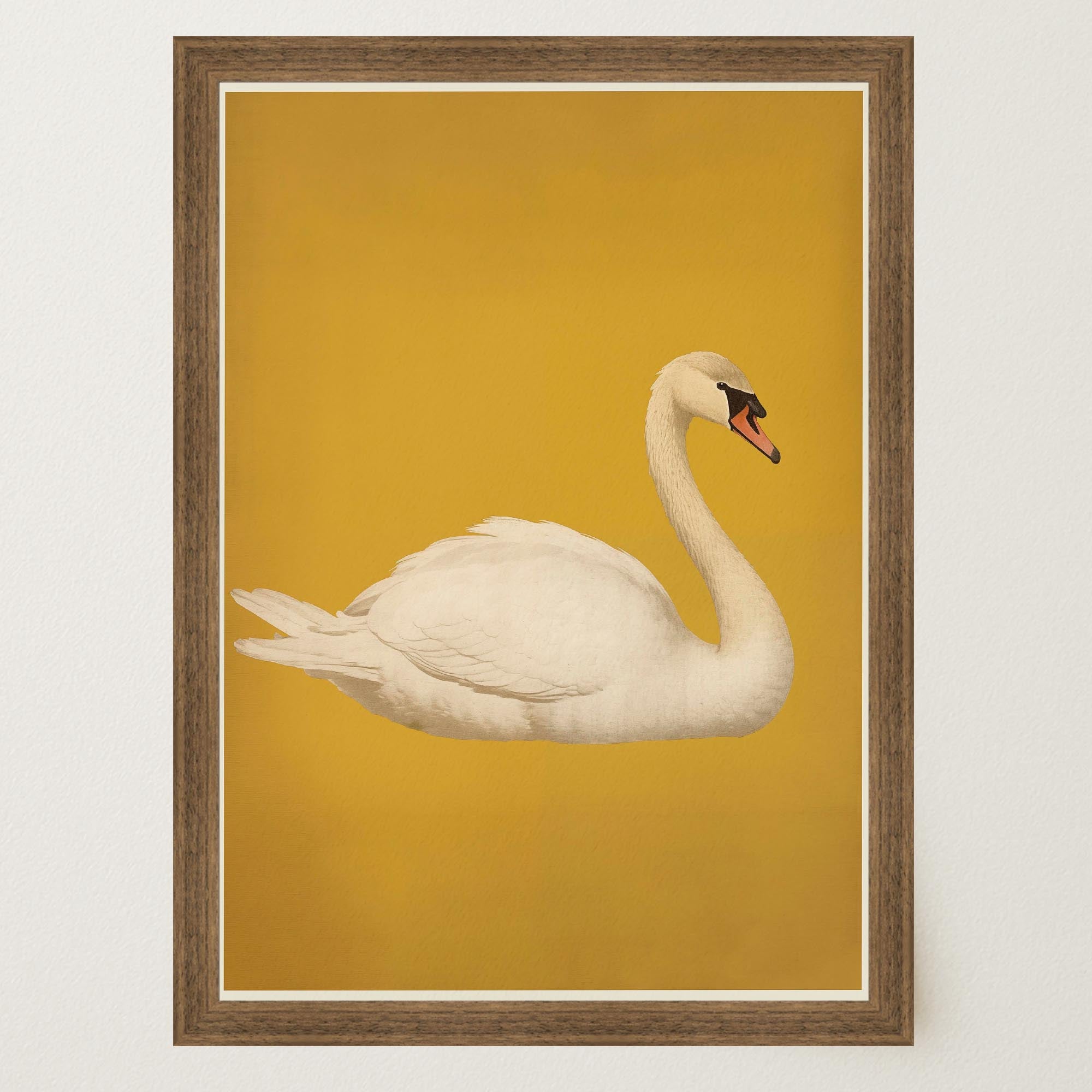 Vintage Style White Swan Wall Art Print-Skudaboo