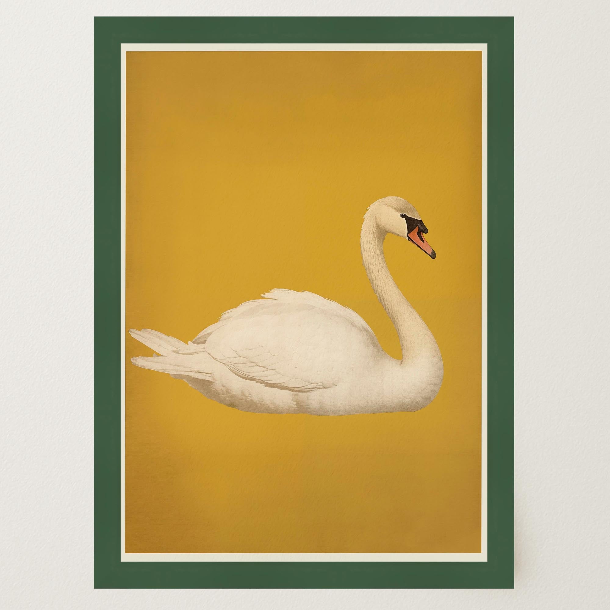 Vintage Style White Swan Wall Art Print-Skudaboo