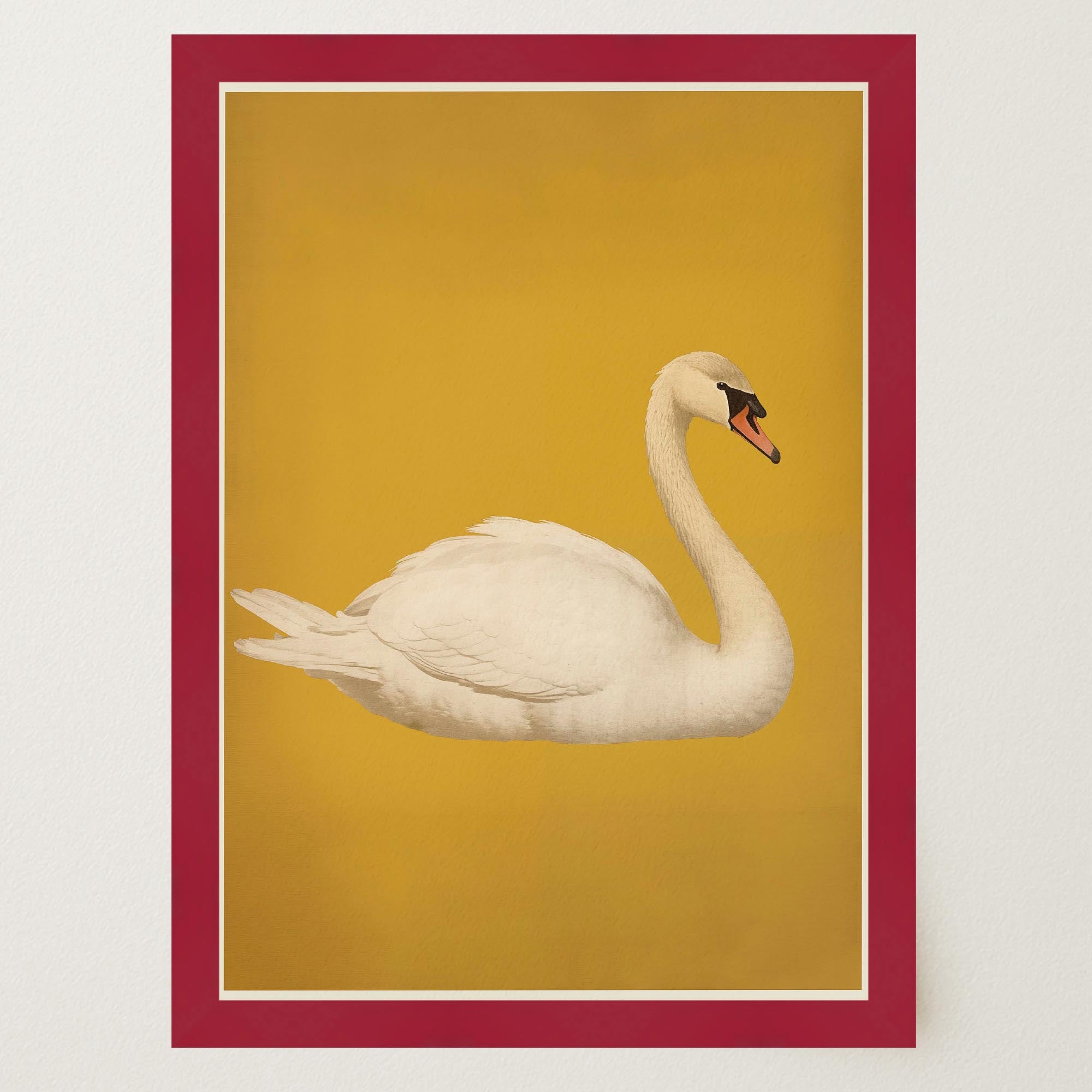 Vintage Style White Swan Wall Art Print-Skudaboo