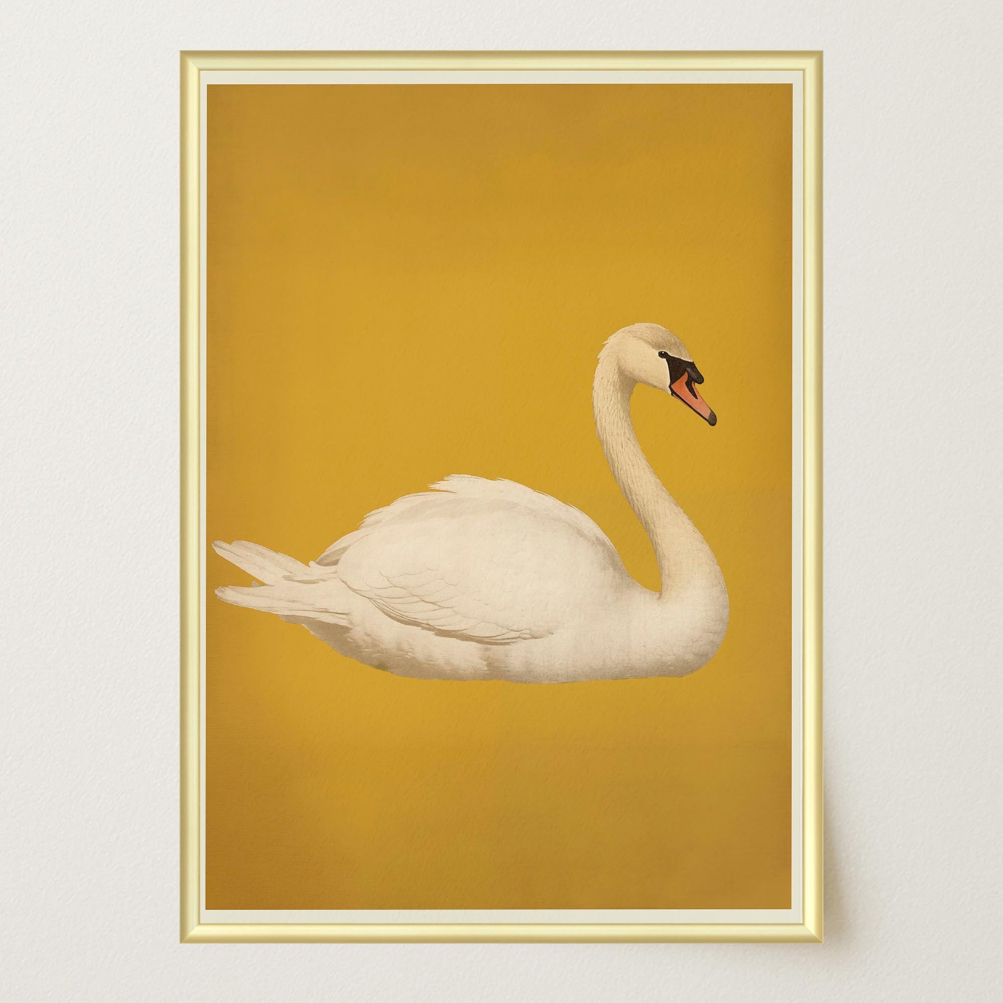 Vintage Style White Swan Wall Art Print-Skudaboo