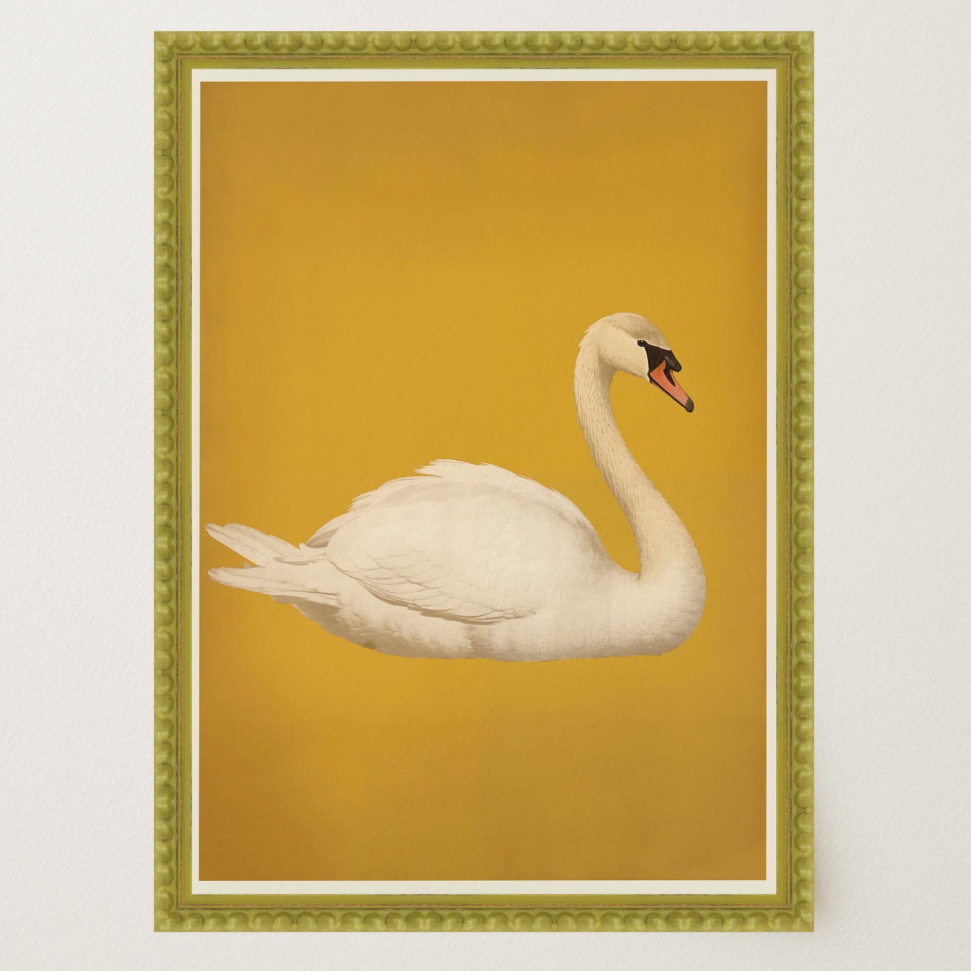 Vintage Style White Swan Wall Art Print-Skudaboo