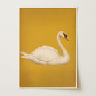 Vintage Style White Swan Wall Art Print-Skudaboo