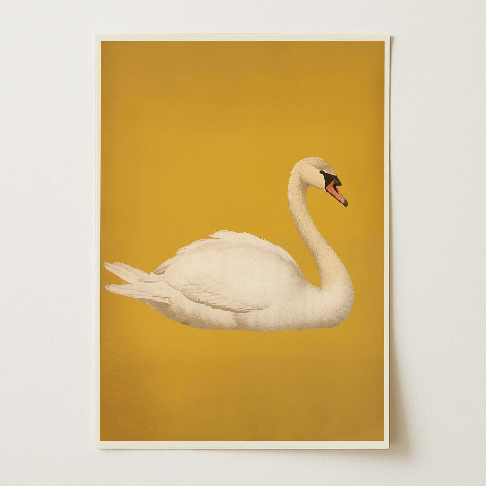 Vintage Style White Swan Wall Art Print-Skudaboo