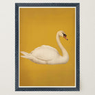 Vintage Style White Swan Wall Art Print-Skudaboo