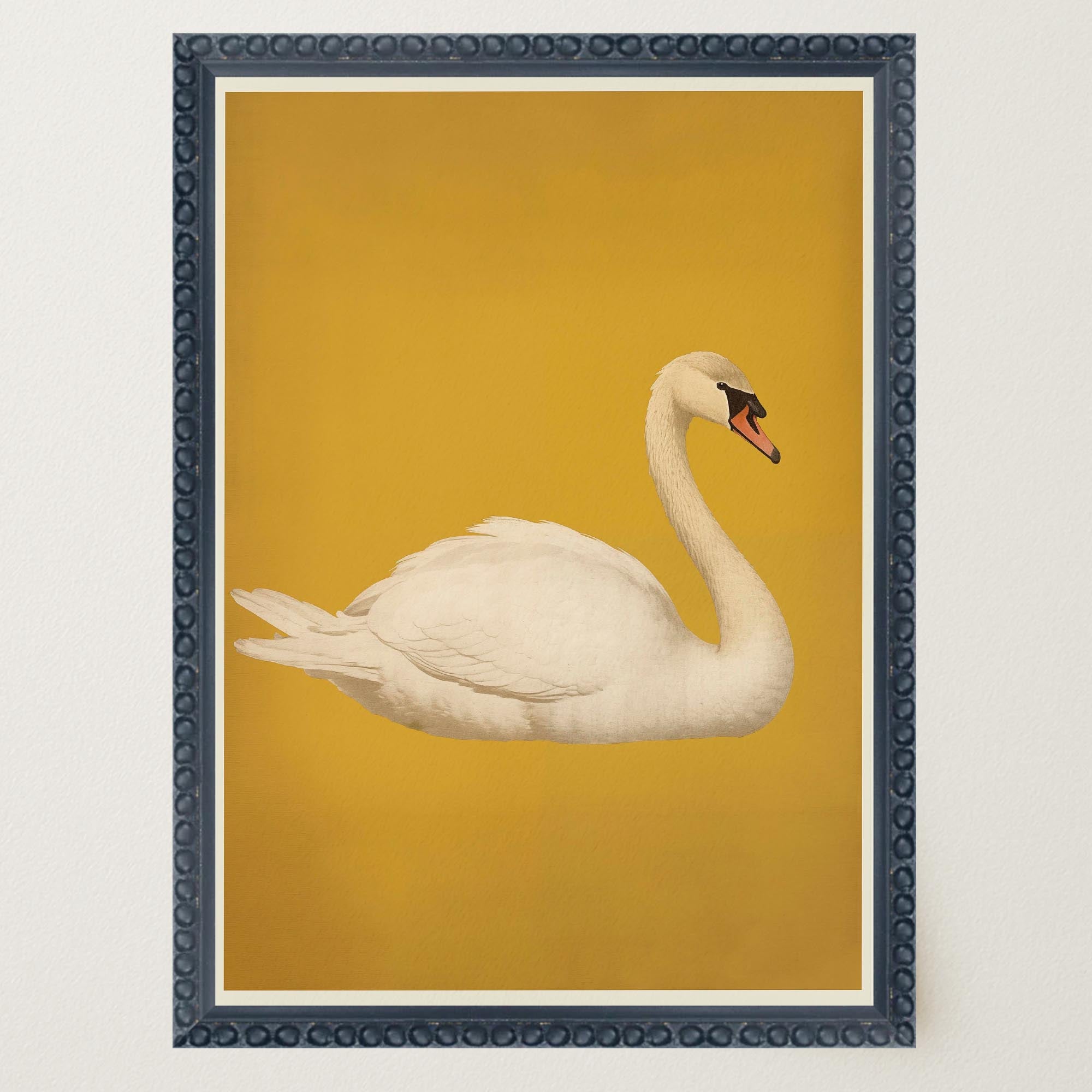 Vintage Style White Swan Wall Art Print-Skudaboo