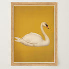 Vintage Style White Swan Wall Art Print-Skudaboo
