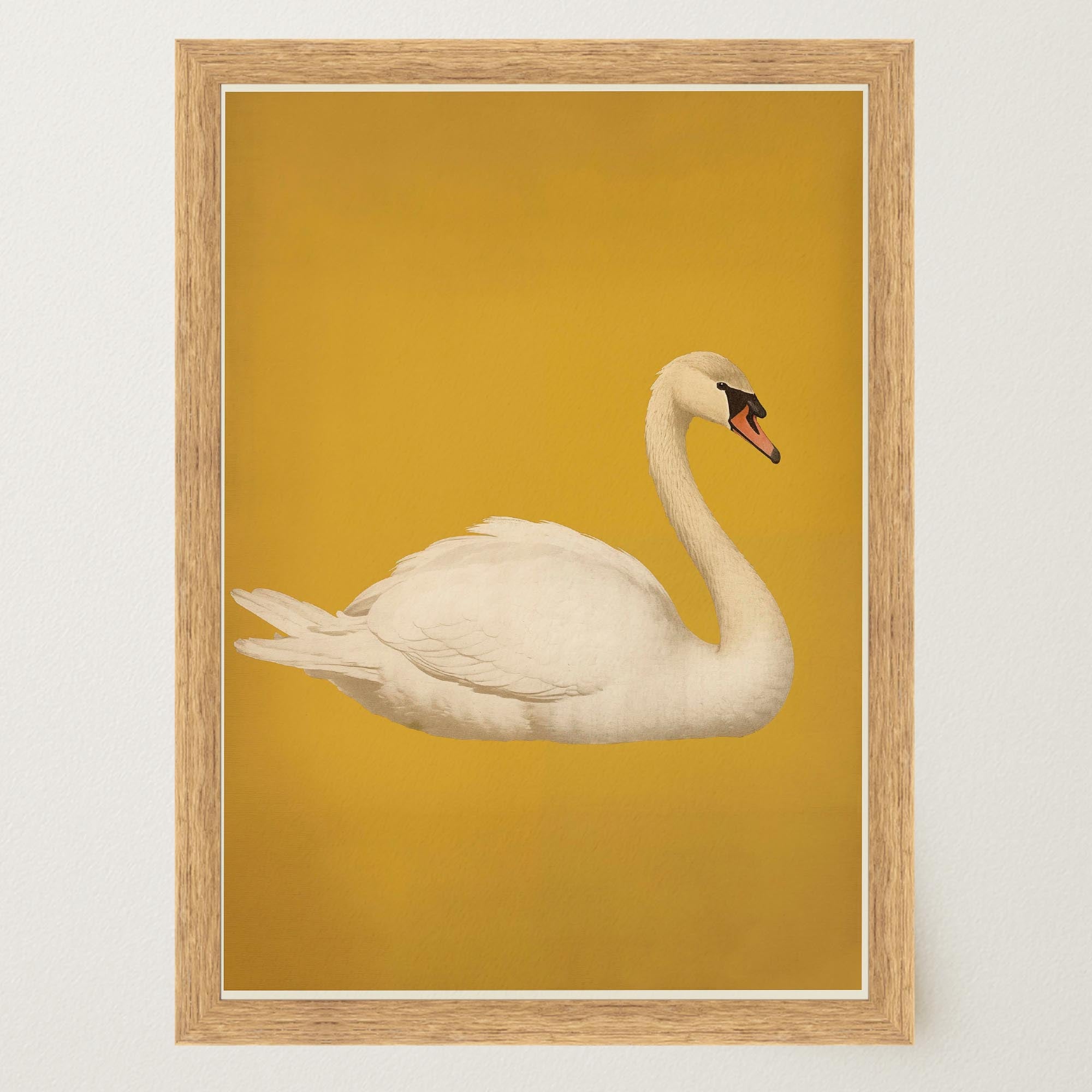 Vintage Style White Swan Wall Art Print-Skudaboo