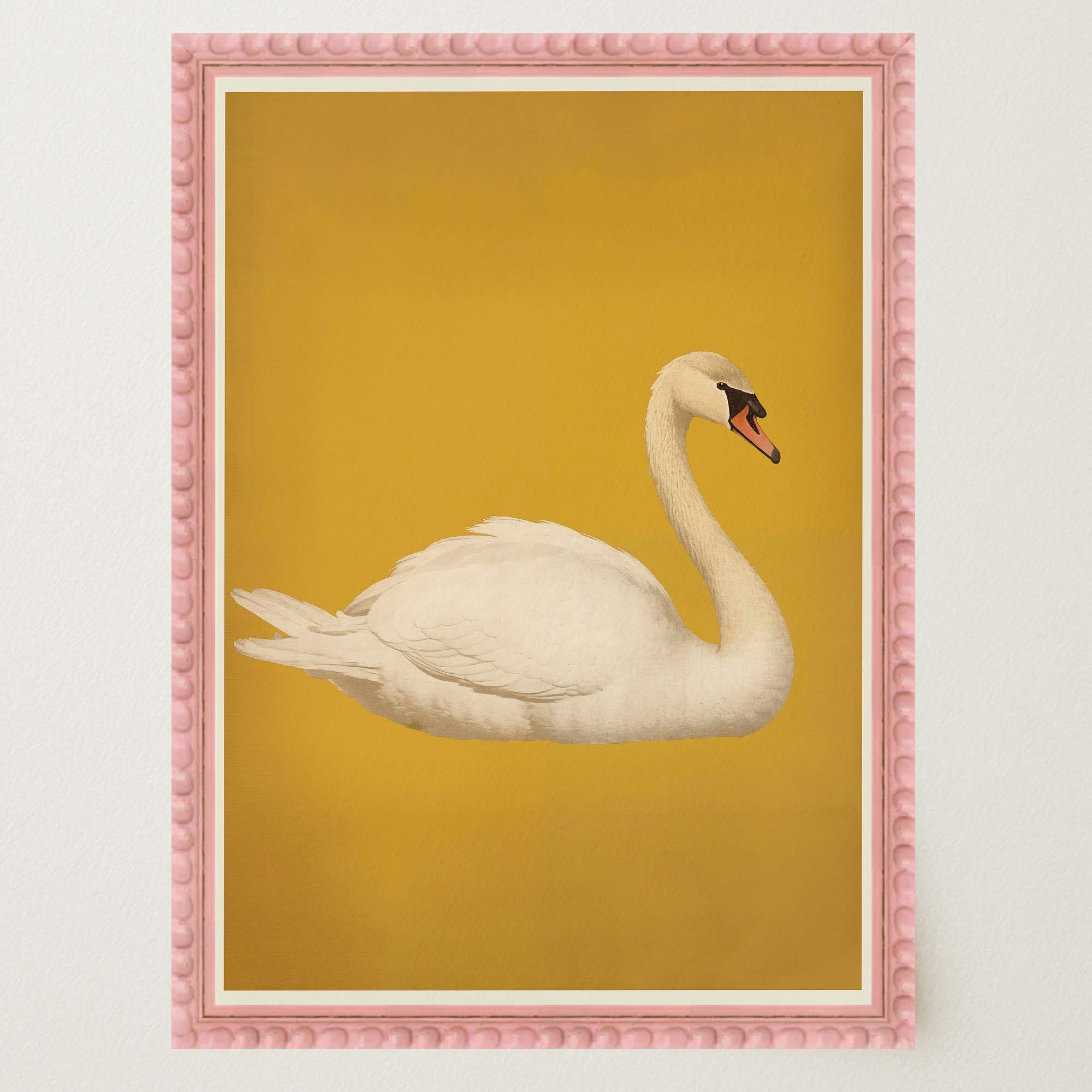 Vintage Style White Swan Wall Art Print-Skudaboo