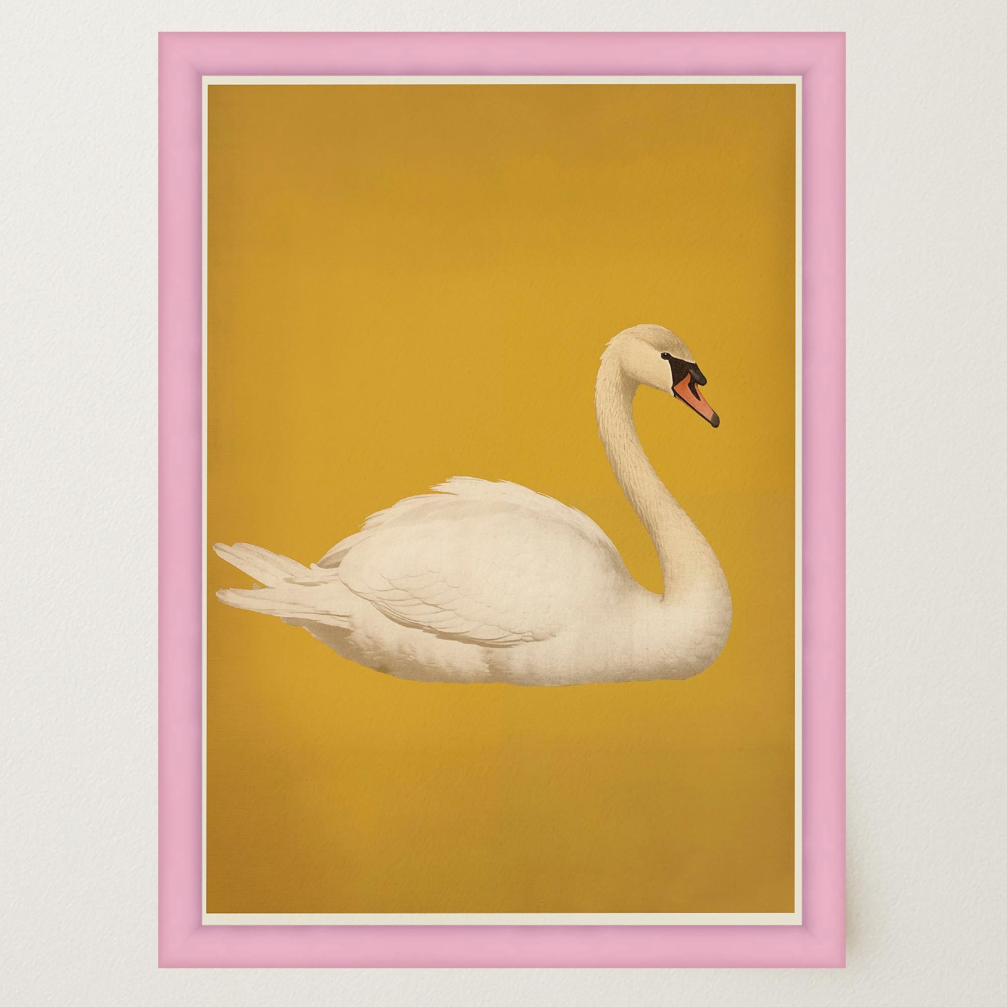 Vintage Style White Swan Wall Art Print-Skudaboo