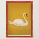 Vintage Style White Swan Wall Art Print-Skudaboo