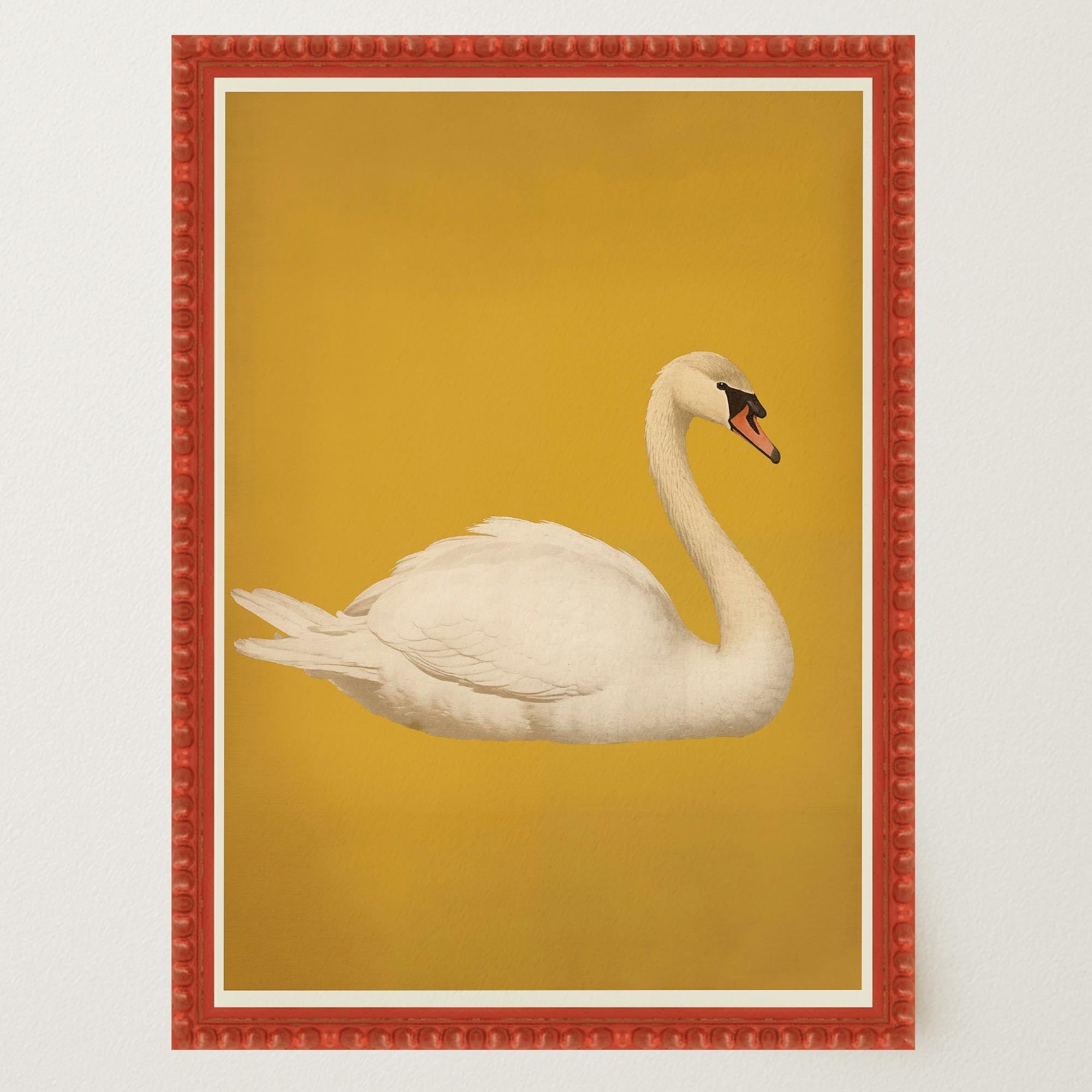 Vintage Style White Swan Wall Art Print-Skudaboo