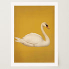 Vintage Style White Swan Wall Art Print-Skudaboo