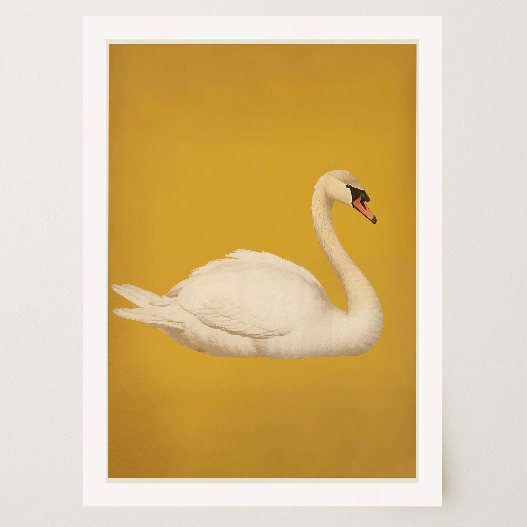 Vintage Style White Swan Wall Art Print-Skudaboo