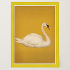 Vintage Style White Swan Wall Art Print-Skudaboo