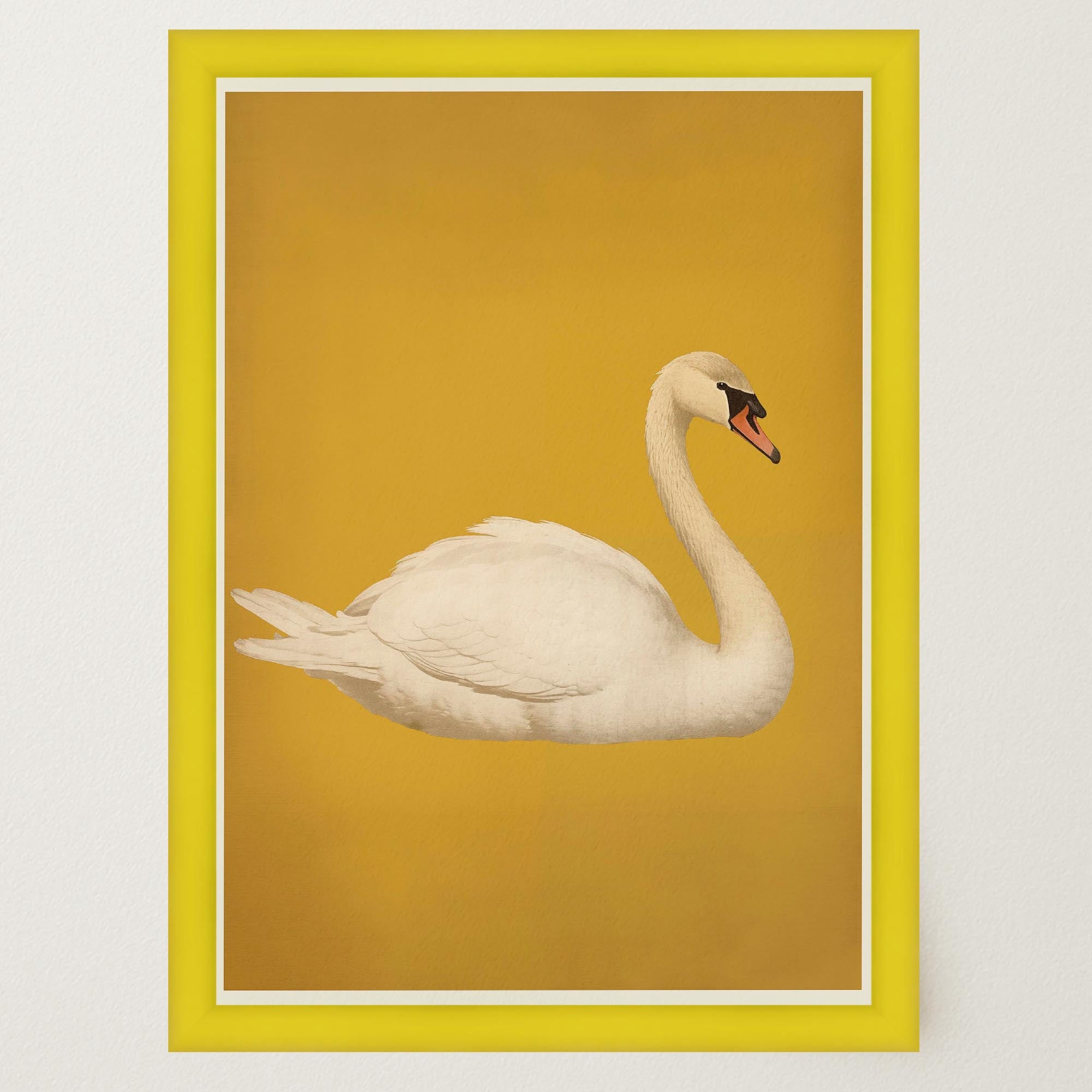 Vintage Style White Swan Wall Art Print-Skudaboo