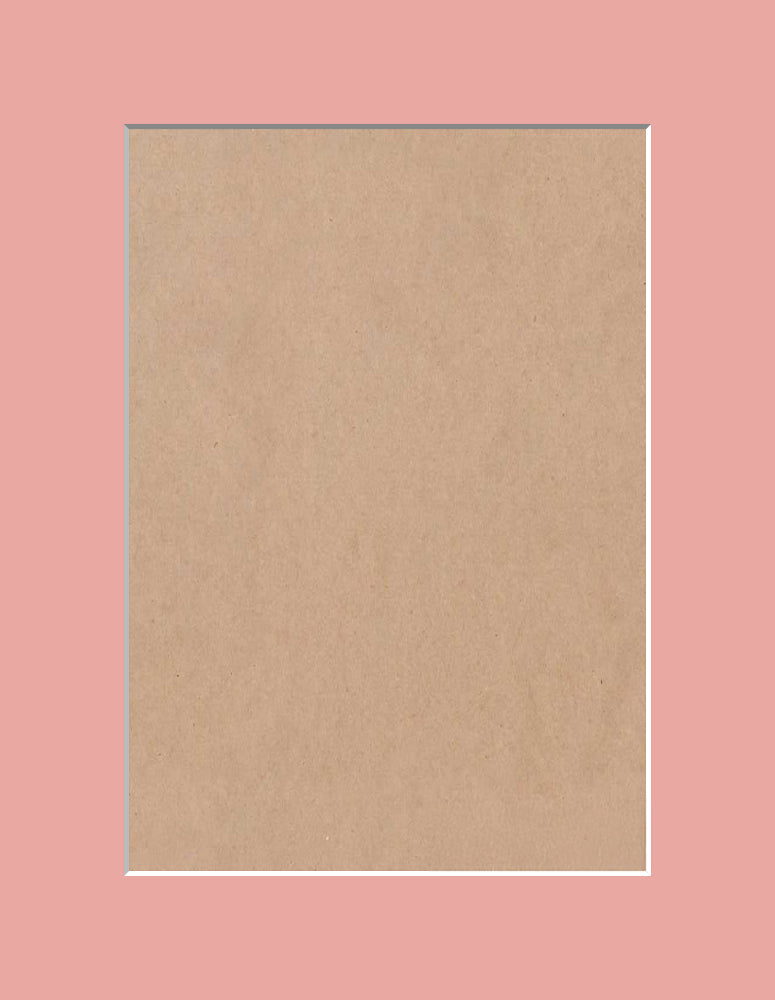 Pastel Pink Standard Picture Mount