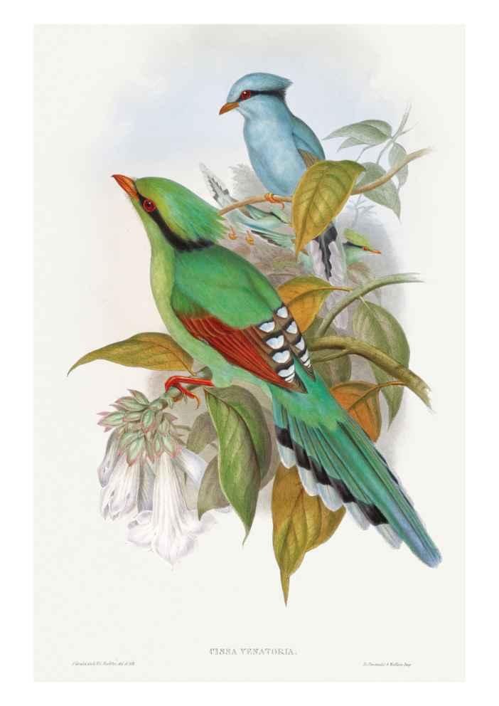 Birds Vintage Art Print-Skudaboo