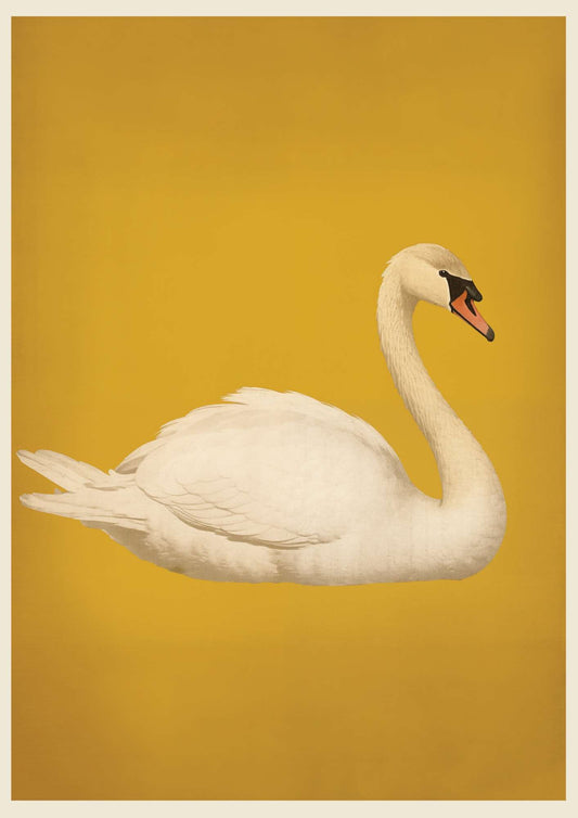 a white swan with a yellow background