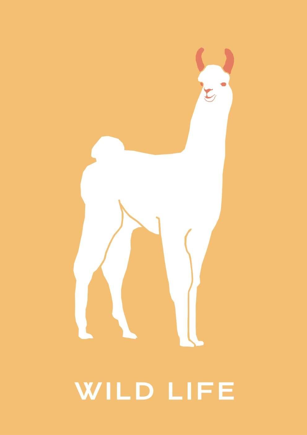 Llama Art Print-Skudaboo