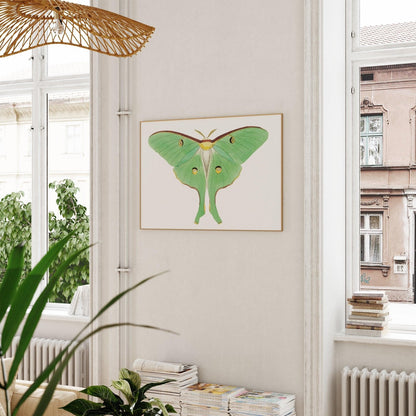 Luna Moth Vintage Art Print-Skudaboo