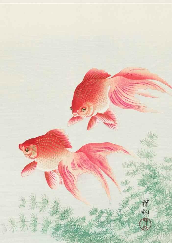 Ohara Koson Two Veil Goldfish Vintage Japanese Art Print-Skudaboo