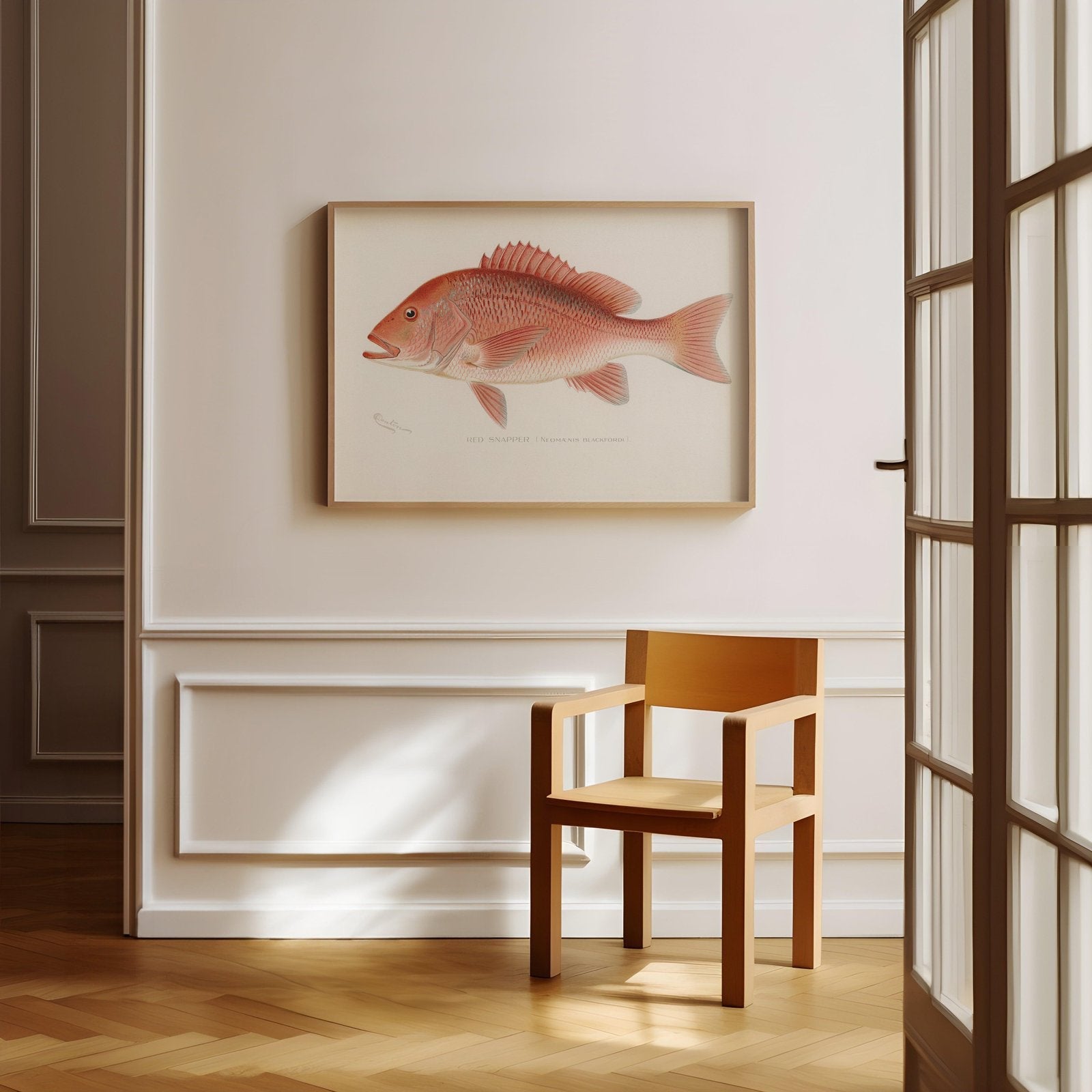 Red Snapper Vintage Art Print-Skudaboo