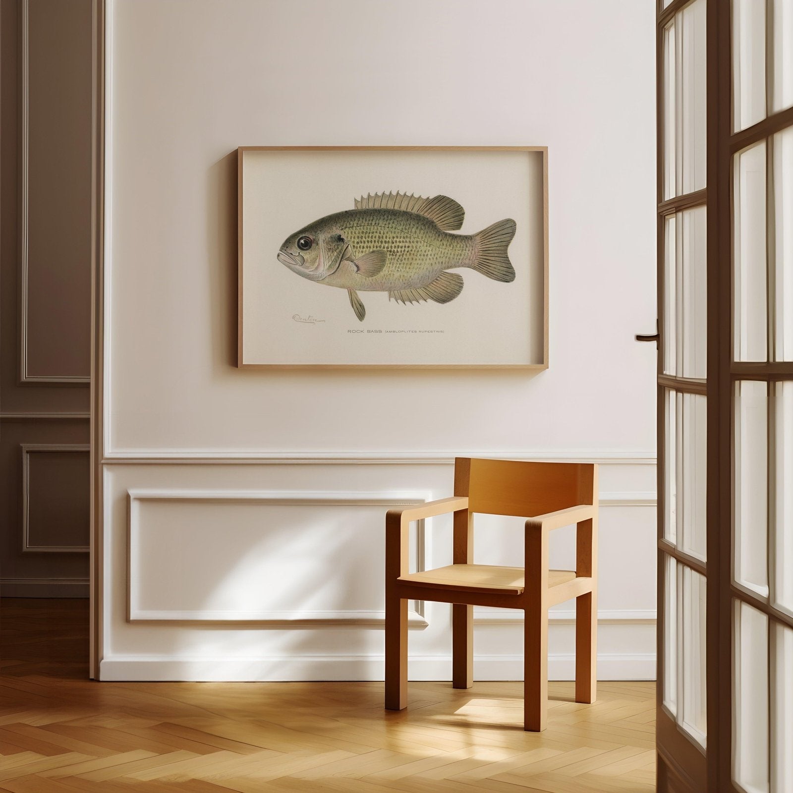 Rock Bass Vintage Art Print-Skudaboo