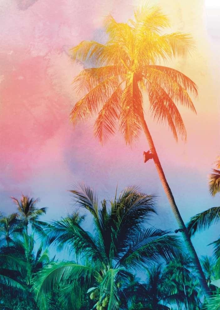 Tropical Palm Tree Art Print-Skudaboo