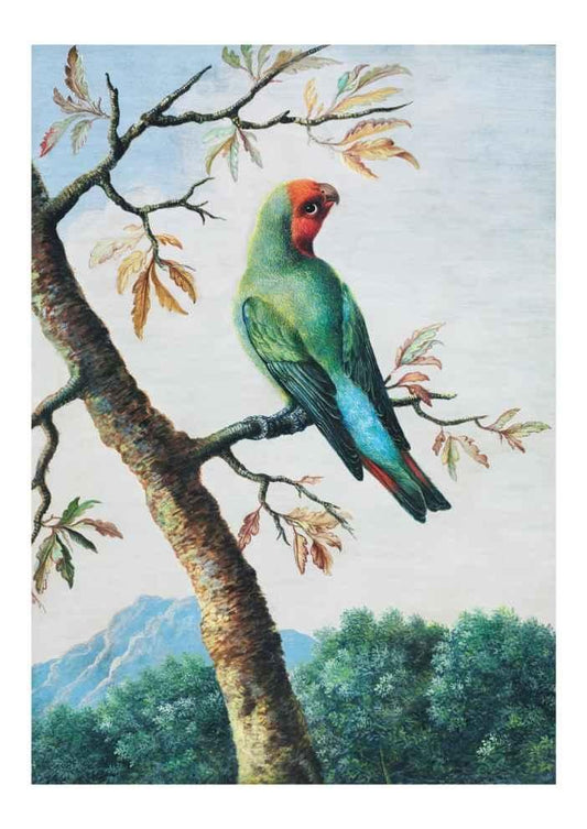 Vintage Bird Art Print-Skudaboo